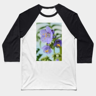 Polemonium  &amp;#39;Blue Pearl&amp;#39;  Jacob&amp;#39;s ladder Baseball T-Shirt